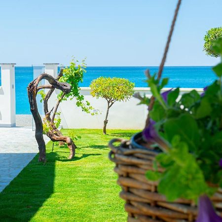 Mbaccimari B&B Cetraro Exterior foto