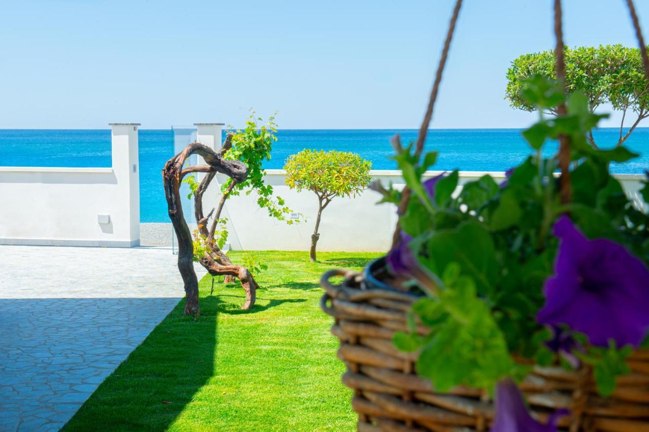 Mbaccimari B&B Cetraro Exterior foto